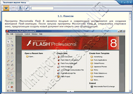 Macromedia Flash 8. Текстовый вариант курса